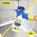 preparat_do_usuwania_plesni_ze_spoin.webp